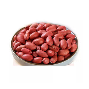 Nueces de cacahuetes crudas baratas al por mayor que empaquetan granos de cacahuetes secos a granel - Product Image 3