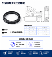 Sello de eje rotatorio hidráulico WEPO con labio de PTFE y energizador de resorte de acero inoxidable para mezcladoras de alta velocidad