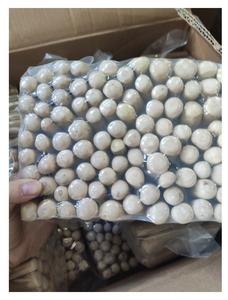 Jouet à mâcher personnalisé pour chien-Bâtonnets à mâcher naturels pour chien en bois de café-100% naturel-Fabricant de jouets pour chiens du Vietnam - Product Image 2