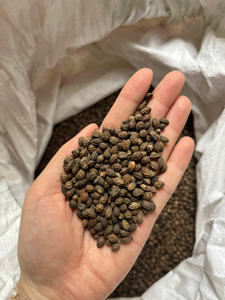 VENTE FLASH Graines de papaye séchées Blue Lotus 2025 pour une digestion naturelle et une détoxification du corps - Product Image 2