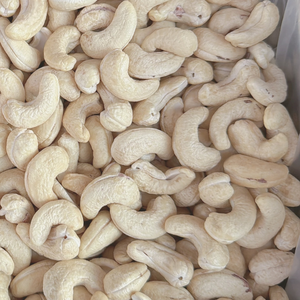 Fournisseur de confiance Noix de cajou W180 Vietnam Santigo Noix de cajou grillées en vrac du Vietnam Santigo - Product Image 1