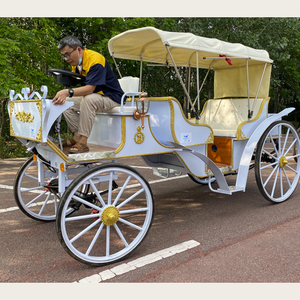 Carroza de <span class=keywords><strong>Caballos</strong></span> Eléctrica Royal Manufacturer, Material de Hierro, para Montar a Caballo - Product Image 4