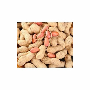 Vente en gros d'usine Décortiqueur organique sur mesure de meilleure qualité Cacahuètes en noyau brut Noix séchées en vrac - Product Image 1