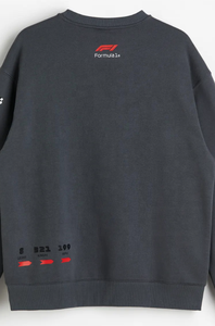 Sweat-shirt d'hiver surdimensionné personnalisable de haute qualité pour homme, tricoté, coupe ample, imprimé, épaules tombantes, doublure épaisse, grandes tailles - Product Image 2