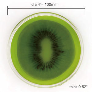 Dessous de verre flottant à motif kiwi de 4 pouces Cadeau personnel unique en cristal Cadeau de nouveauté pour les occasions spéciales - Product Image 4