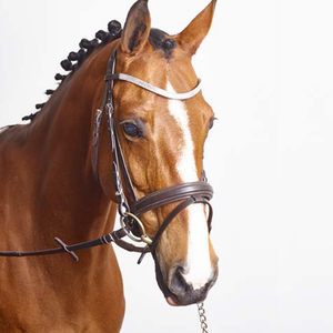 Meilleure nouvelle bride en cuir surélevée anatomique de luxe pour chevaux - Product Image 4