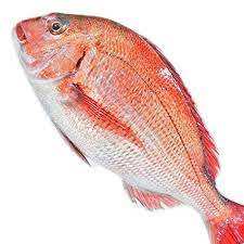 Delicioso sabor Sin piel Filete de besugo Mariscos Productos congelados - Product Image 5