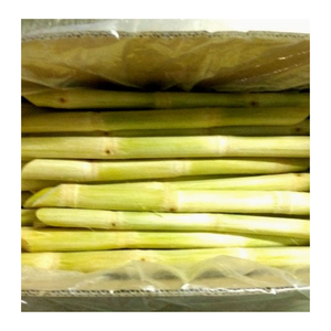 Frozen Sugarcane Chunks Peeled And Ready For Export Frozen Sugarcane Ideal For Beverage Processing Plants - Product Image 1