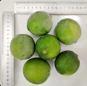 มะนาวแช่แข็ง |   100% ธรรมชาติ |   ราคาดีที่สุด ส่งออกจากโรงงาน - Product Image 4