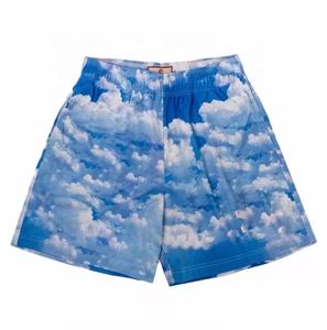 Short de basket-ball personnalisé pour homme, Short en maille brodée par Sublimation - Product Image 2
