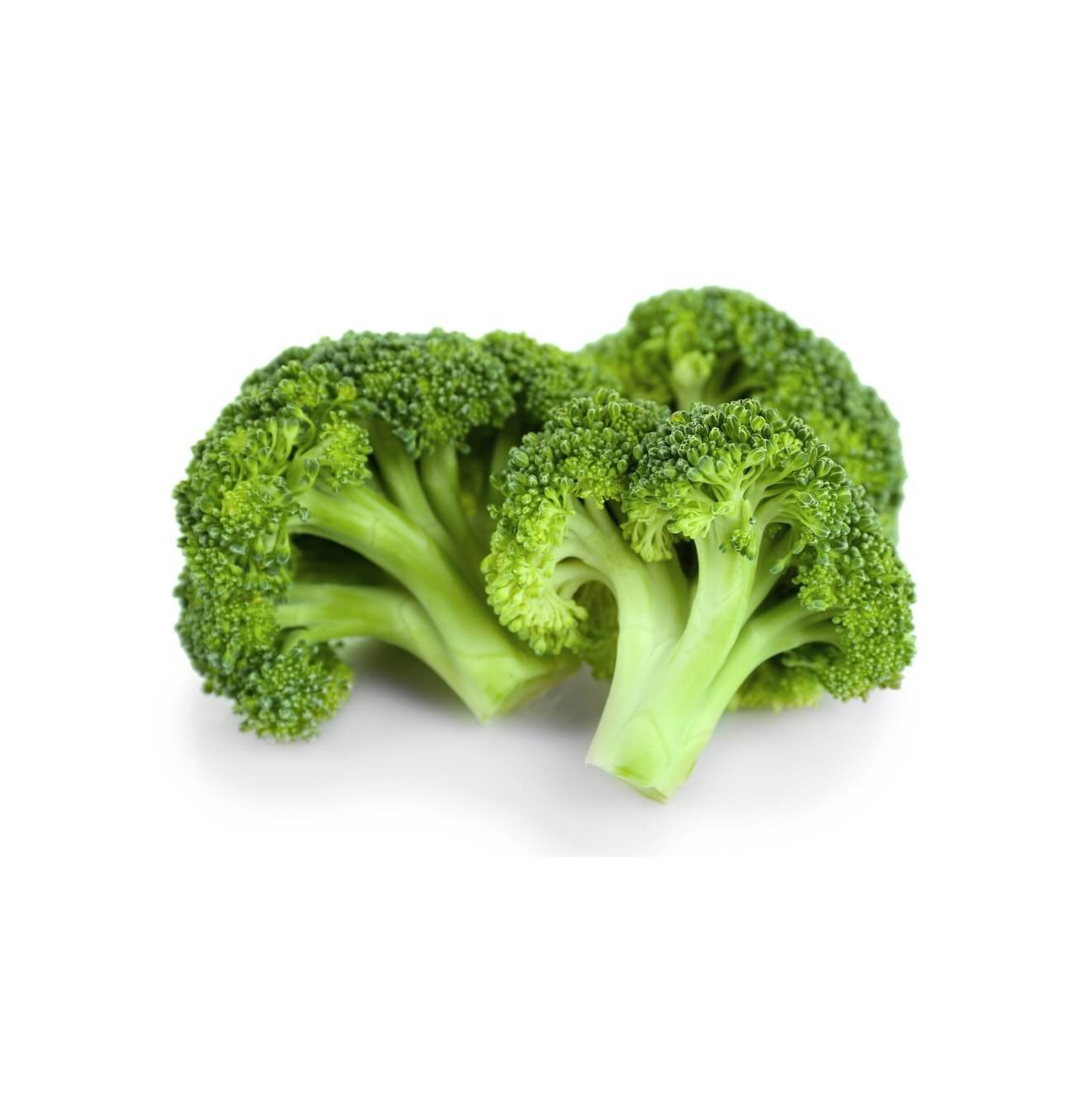 Export quality fresh broccoli for grocery chains and resellers