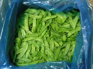 ถั่วหิมะเกรดสูงสำหรับส่งออกถั่วสดปลูกในฟาร์มแบบไม่ใช้จีเอ็มโอ - Product Image 6