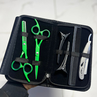 Juego de Peluquería Profesional de Acero Inoxidable, Herramientas Duraderas de Alta Calidad, Empaque con Logotipo Personalizado, Salones de Belleza Personales, IMANS ENTERPRISES