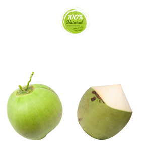 Noix de coco vietnamienne fraîche délicieusement pure hydratation-l'agriculture à son meilleur - Product Image 6