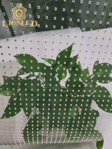 Lionled P20 độ nét cao và hiệu suất Màu sắc trong nhà mỏng linh hoạt Glass <span class=keywords><strong>LED</strong></span> hiển thị cho công ty phòng trưng bày và thương hiệu tổ chức sự kiện - Product Image 4