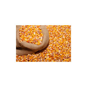 GRANO DE MAÍZ AMARILLO (HARINA DE MAÍZ) para ALIMENTACIÓN ANIMAL - Product Image 3
