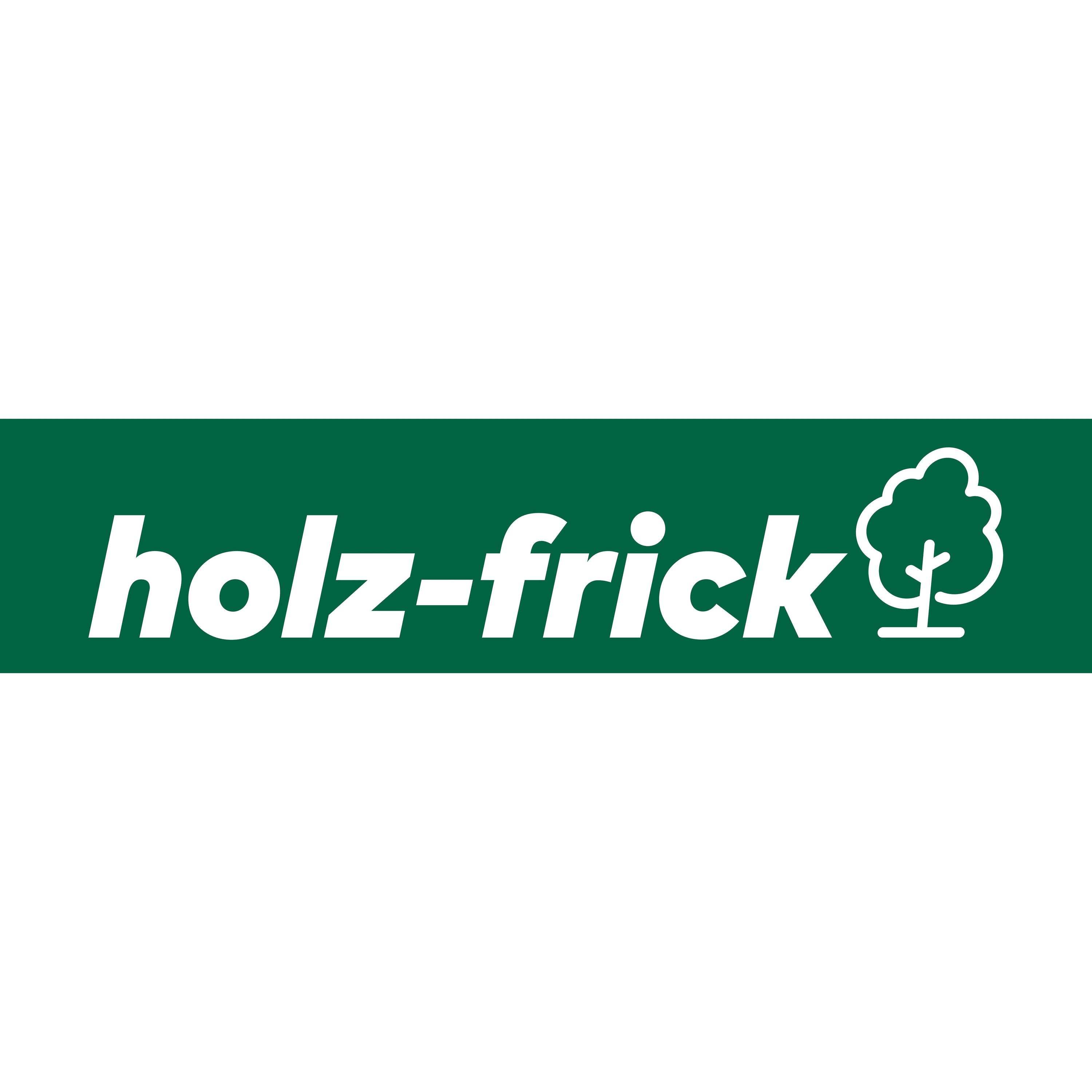 holz-frick GmbH logo