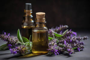 Aceite esencial de pennyroyal puro 100%, venta al por mayor, aceite esencial de pennyroyal natural y puro a granel - Product Image 2