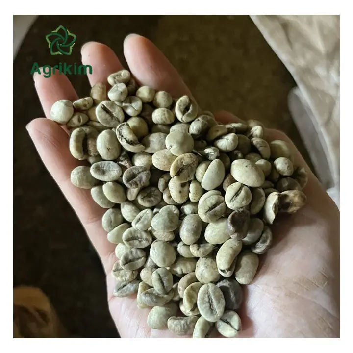 Grãos De Café De Agrikim Fabricante Top Grade Qualidade Grande Sabor Preço De Atacado Com Certificações Completas Pronto Para Enviar