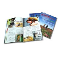 Magazines paysagers mats personnalisés, impression CMJN 4 couleurs, logo personnalisé, reliure parfaite, 8,5x11, plastification, impression offset