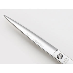 ใบมีดสแตนเลส RAY COSMOS 132 ปลายแหลมคม - Product Image 2