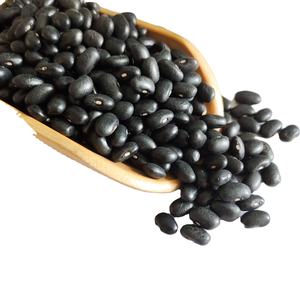 Haricots noirs secs biologiques Haricots verts blancs de haute qualité Nouvelle récolte disponible en gros Culture biologique Utilisation alimentaire en vrac - Product Image 4