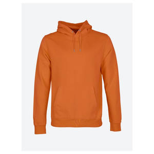 Pull à capuche doublé en polaire 420GSM unisexe, coupe régulière, sweat à capuche avec logo et broderie vierge, nouvel arrivage - Product Image 5