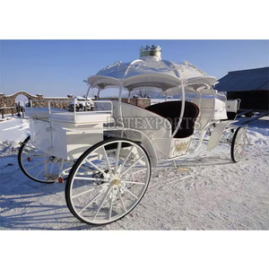 Élégant tour de mariage américain Cendrillon chariot de haute qualité chariot de citrouille de Noël belle voiture de Cendrillon éclairée - Product Image 6