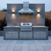 Barbecue à gaz professionnel en acier inoxydable argenté, 4 brûleurs, 1 brûleur arrière, intégré pour cuisine extérieure