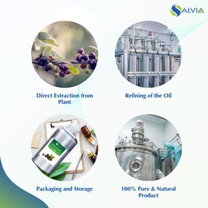 Huile de cassis 100% pur et naturel en gros en vrac prix le plus bas emballage personnalisé - Product Image 4