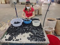 Couvercle en PVC rouge pour boîte de jonction, ignifuge, marque AC, certifié ISO9001, fabriqué au Vietnam, raccords de conduit pour projets électriques