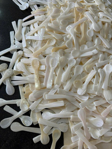 ช้อนหอยสังข์ที่ทำจากเวียดนามเหมาะสำหรับการตกแต่งห้องอาหารและการตั้งค่าโต๊ะตามธีมในตัวเลือกการซื้อแบบขายส่ง - Product Image 2