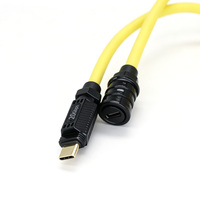 Kabel USB C Spiral Retractable 20Gbps Grosir, Kabel Data Kecepatan Tinggi Tipe-C, Logo Custom