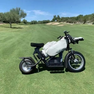 Vehículo eléctrico Farways Flex-Finns para campos de golf, diseñado para que el juego sea más rápido y divertido. - Product Image 1