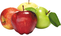 Pommes Fuji Fraîches de Qualité Supérieure en Promotion – Stockage Réfrigéré de Belgique, Couleur Rouge, Durée de Conservation de 6 Mois, En Vente
