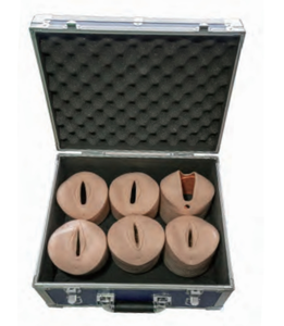 Medical Teaching Suture <b>Pad</b> Gynecology Vulva Suture Training Model Female Vulva Incision Suture Model - Product Image 3