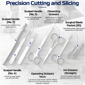 Bộ dụng cụ phẫu thuật 3 món bằng thép không gỉ, thiết bị y tế, kẹp băng giá rẻ, nhà cung cấp - Product Image 4