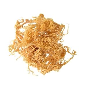 Mousse de mer séchée de qualité supérieure Meilleur prix de haute qualité - Product Image 4