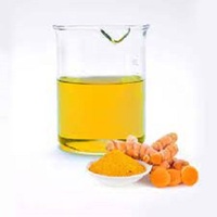 100% Naturel Nano Curcumine Extrait Capsules Qualité Alimentaire Extrait De Plantes Poudre dans Le Tambour Emballage Curcuma Supplément