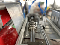 Machine d'emballage de remplissage de sauce pimentée de sachet de pâte à crème liquide à plusieurs voies entièrement automatique