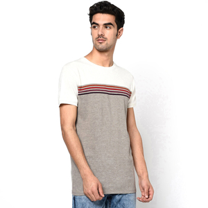 Wholesale Quick Dry Gym Fitness Plus Size 95%Polyester 5%Spandex Sport T Shirt for Men Best Quality - Product Image 4