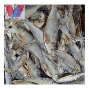 Espigas de pescado secas de alta calidad, los mejores proveedores, producto en Stock seco, pescado de gran calidad, redondo, pescado seco del Caribe, pescado listo para vacaciones, en venta - Product Image 1