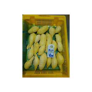 Trozos de Durian Congelados Sin Semillas Envasado al Vacío Natural Dulce Sabor Cremoso Listo para Comer Grado de Exportación Vietnam - Product Image 3