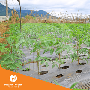 Film de paillis agricole pour le couvre-lit Rétention d'humidité-minimise l'évaporation, réduit la fréquence d'irrigation - Product Image 3