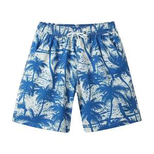 Proveedor de fábrica América Europa Tamaño Verano Playa Pantalones Hombres Casual Secado rápido Surf Swim Shorts Hombres Board ShortsDDP envío - Product Image 1