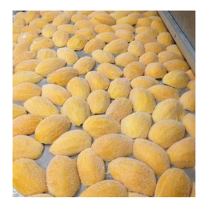 Rodajas de mango congelado de Vietnam, sabor dulce y maduro, suministro estable durante todo el año, fácil almacenamiento, adecuado para exportación y grandes pedidos - Product Image 6