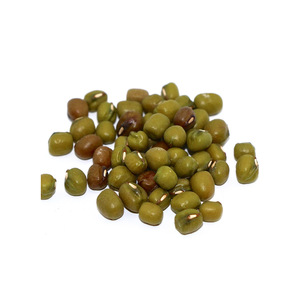 Haricots mungo à texture fine, vente en gros, qualité supérieure, haricots verts en vrac - Product Image 1