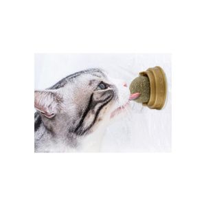 Palla di erba gatta gatta naturale commestibile giocattolo appiccicoso filatura gatto menta giocare palla 5cm