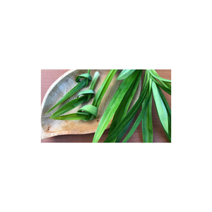 MEJOR VENTA HOJAS PANDAN SECAS 100% NATURAL DE VIETNAM CON CALIDAD PREMIUM - Product Image 3