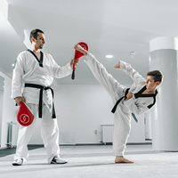 Cible de boxe portable Futaba durable en PU écologique avec couleur personnalisée 40x20cm pour tous les âges, entraînement de Taekwondo et de Kickboxing